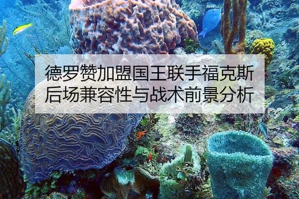 德罗赞加盟国王联手福克斯 后场兼容性与战术前景分析
